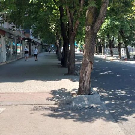 Lovely * Tirana