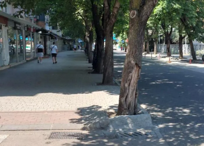 Lovely * Tirana